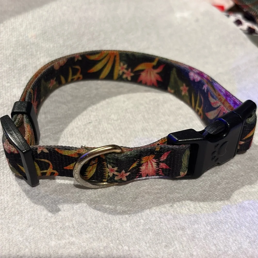 Medium - Large Halloween Dog or cat collar